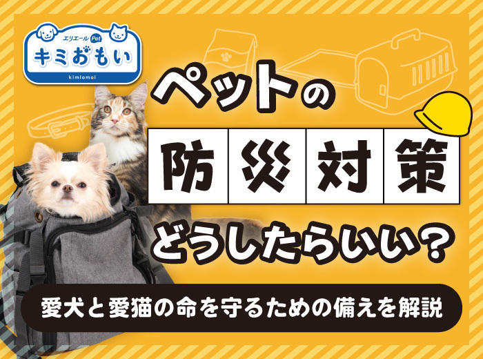 ペットの防災対策はどうしたらいい?愛犬と愛猫の命を守るための備えを解説|キミおもい