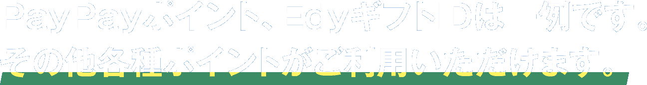 PayPayポイント、EdyギフトIDは一例です。その他各種ポイントがご利用いただけます。