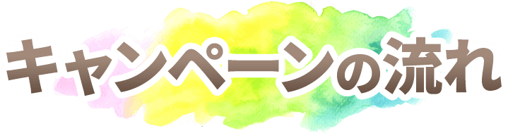 キャンペーンの流れ