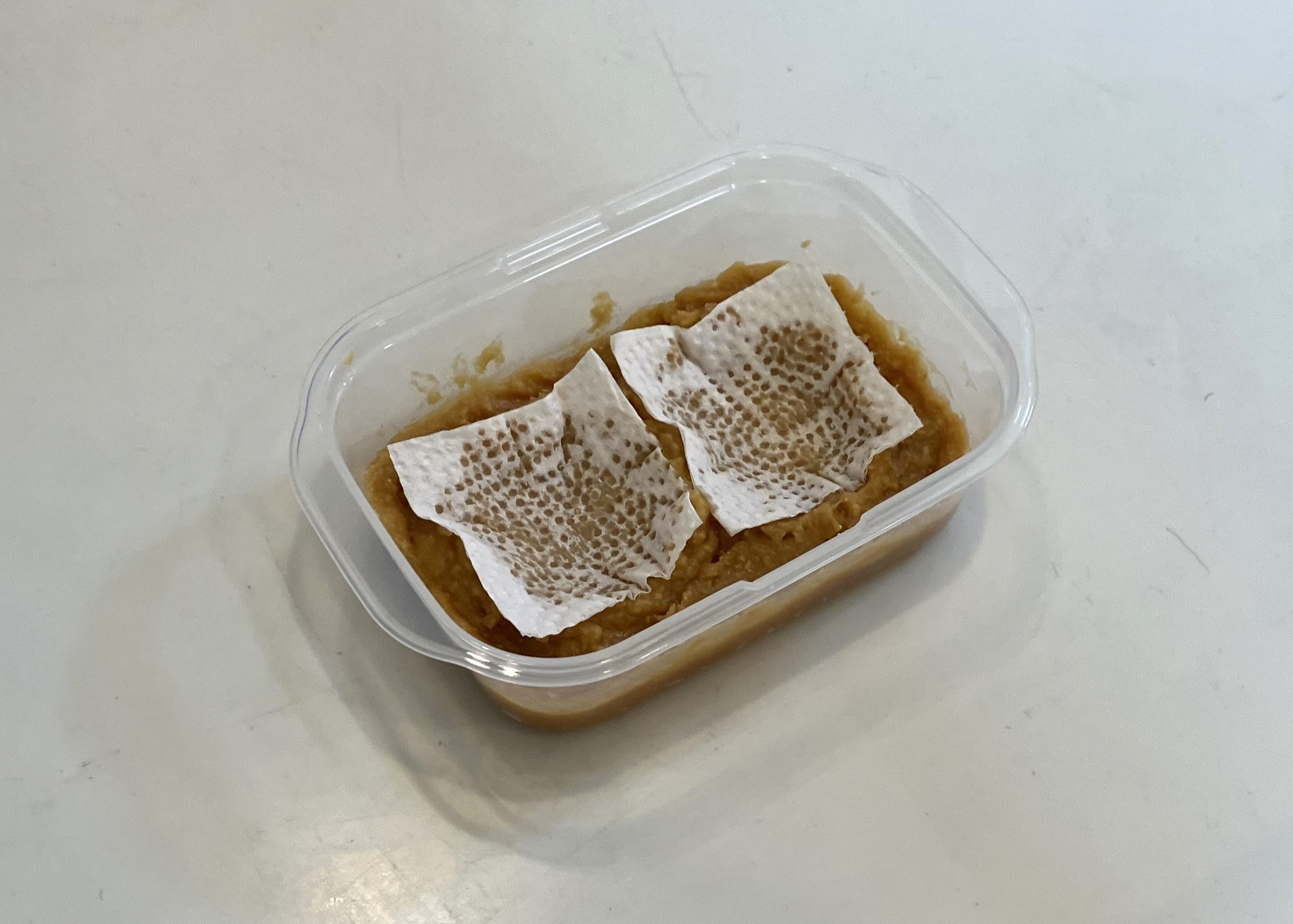 3. キッチンペーパーを5cm四方くらいの大きさにカットし、味噌床に作ったくぼみに合わせて1枚ずつ敷きます