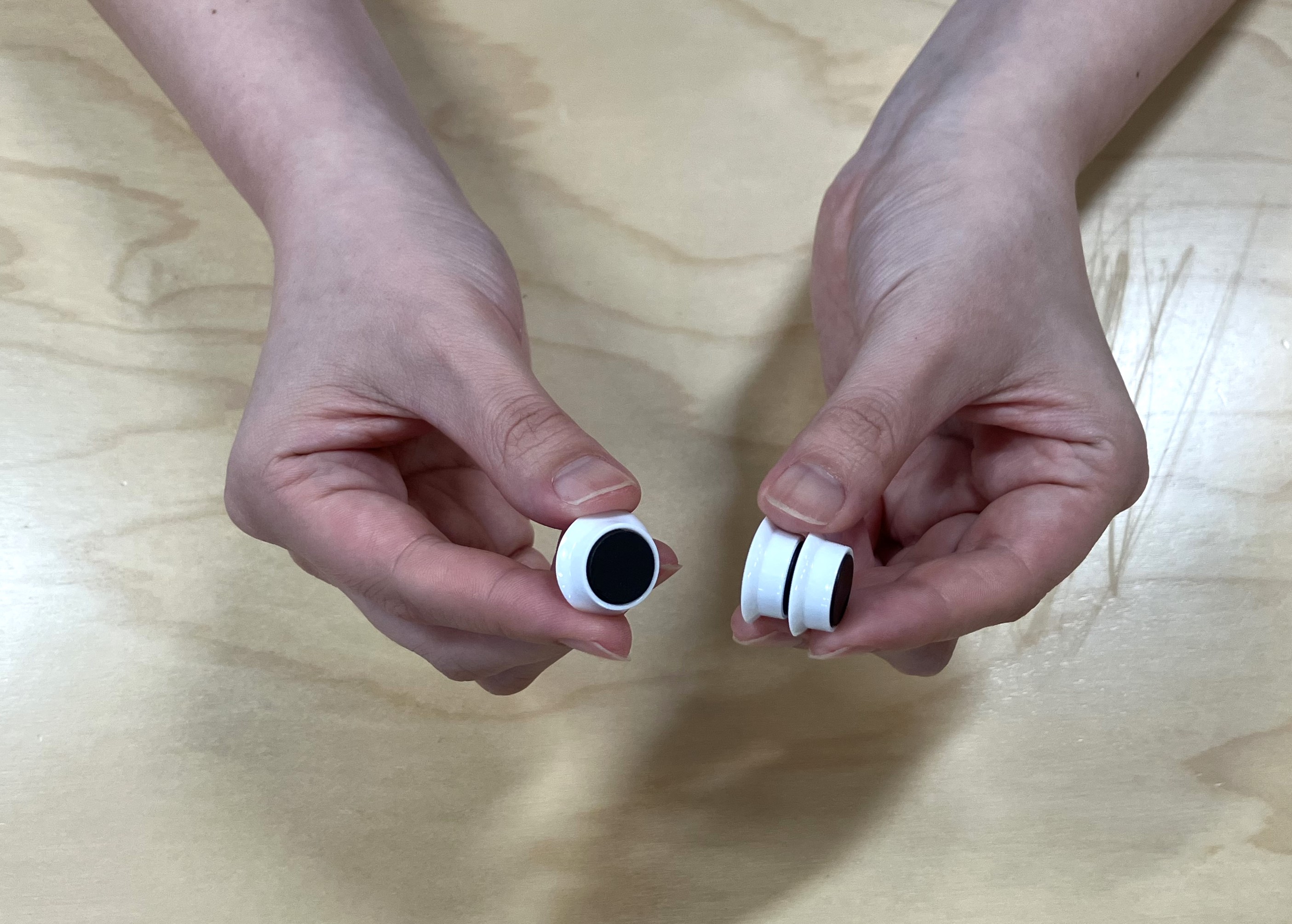 5. 金魚のおなか側と割り箸にセロテープでマグネットをつけます