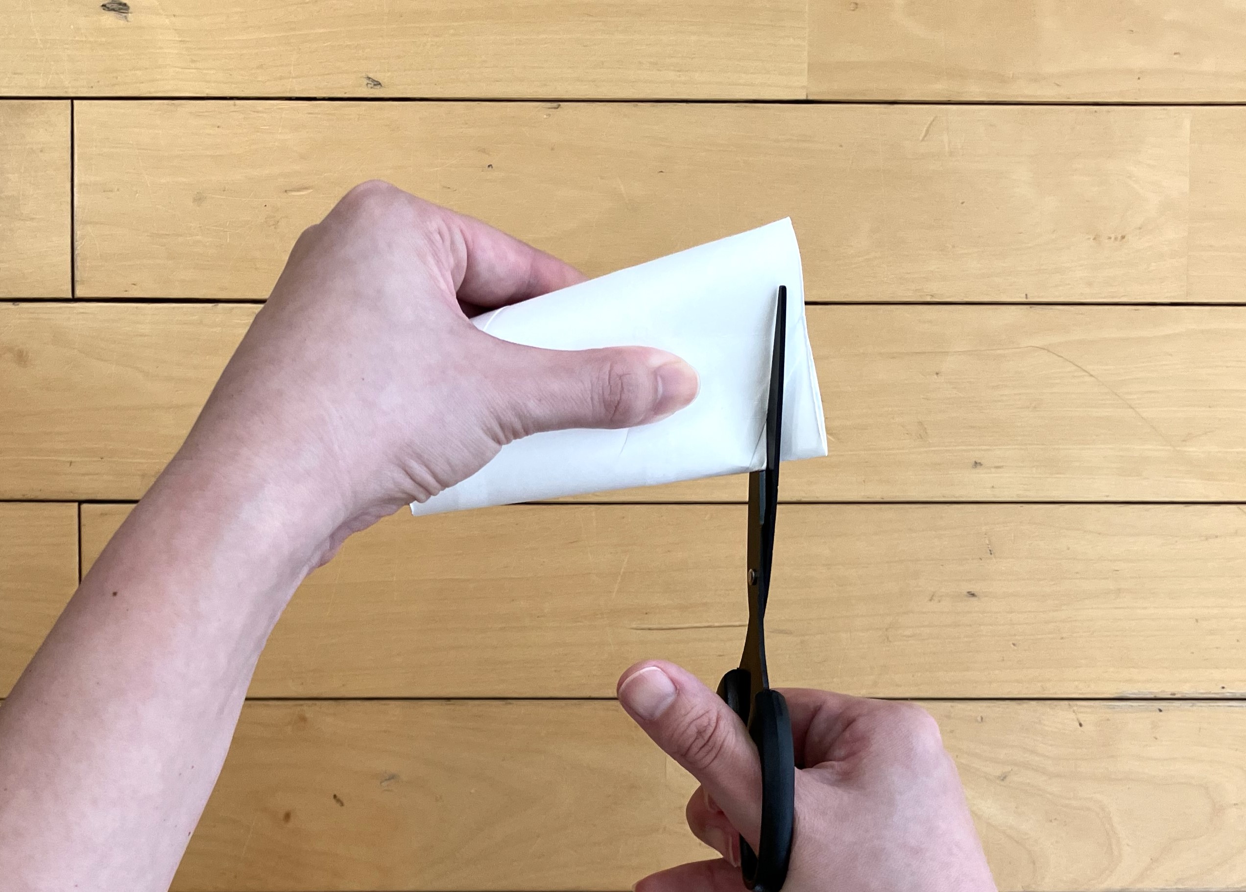 2. 1でつぶした部分の、先端から約3分の1の位置を斜めにカットします。
