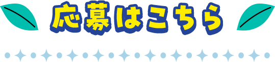 応募はこちら