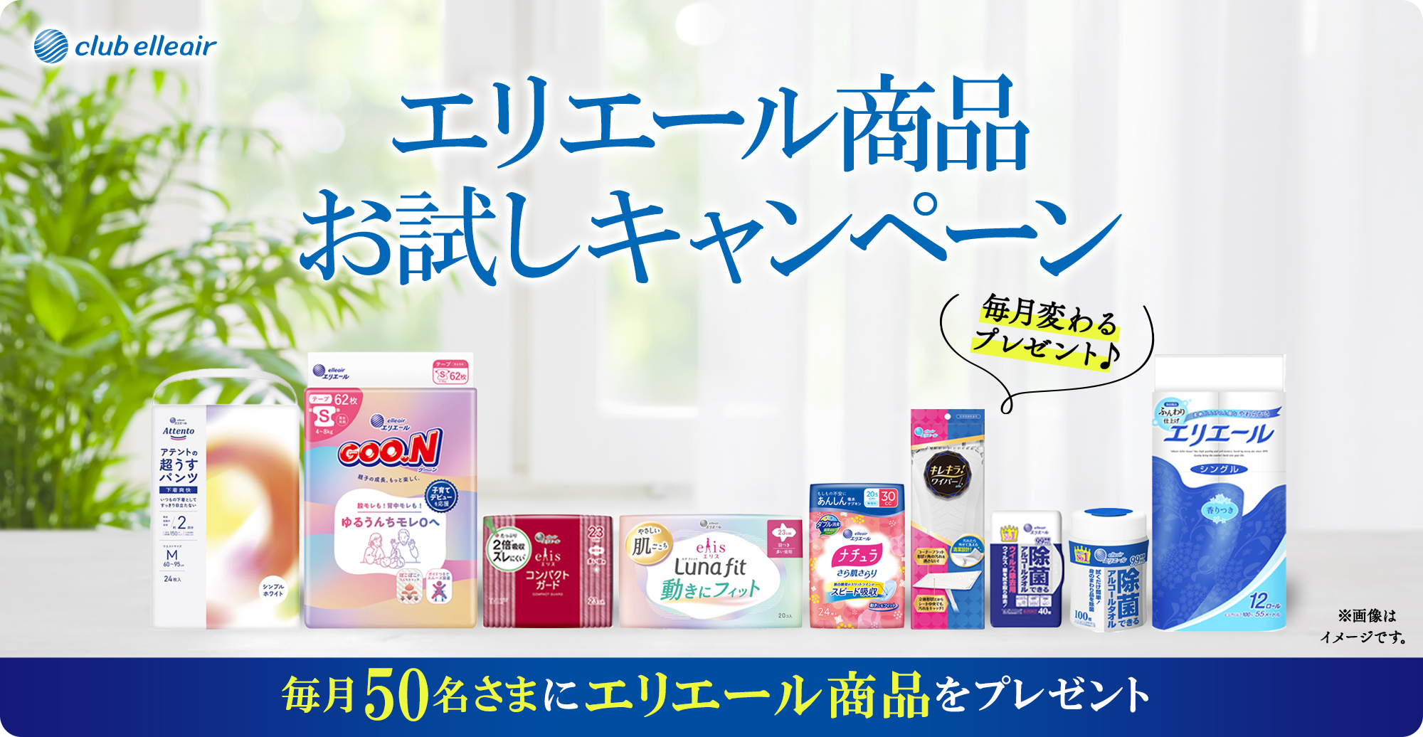 クラブエリエール会員限定キャンペーン 毎月変わるプレゼント♪毎月50名さまにエリエール商品をプレゼント