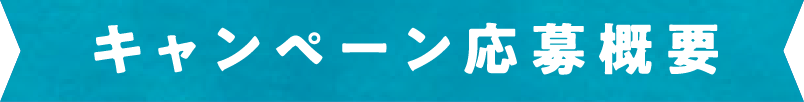 キャンペーン応募要項