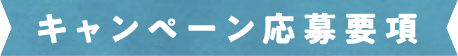 キャンペーン応募要項