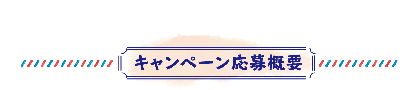 キャンペーン応募要項