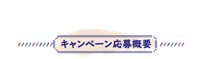 キャンペーン応募要項