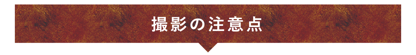 撮影の注意点