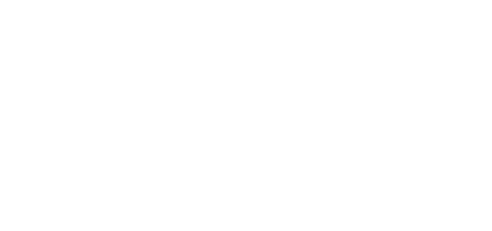 NUMBER OF SUPPORT