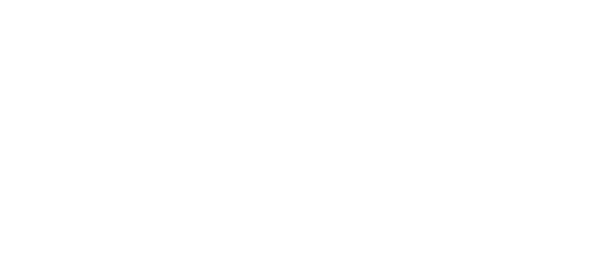 NUMBER OF SUPPORT