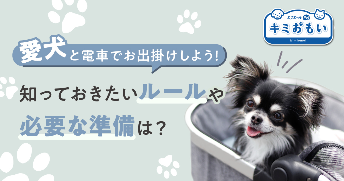 るぃたま@様♡わんこ服♡専用 るぃたま@様♡わんこ服