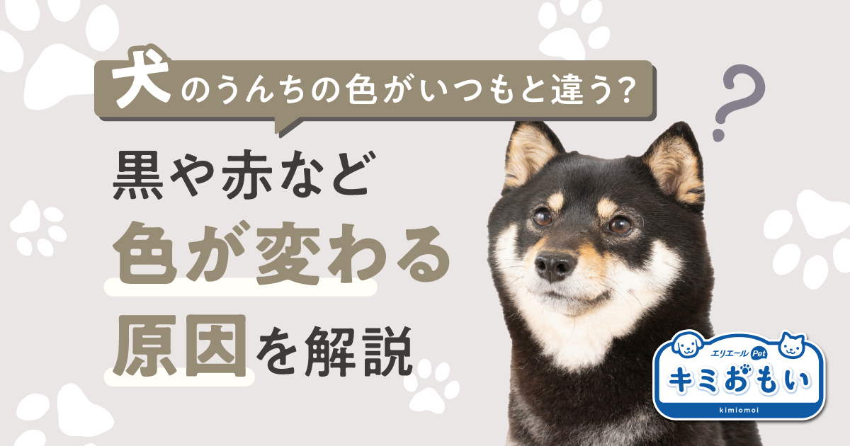 濃い色味、黒系 犬の服 【公式通販】