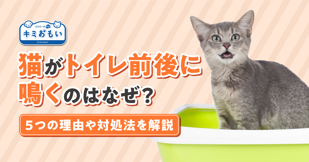 ネコちゃん様確認用 【公式通販】