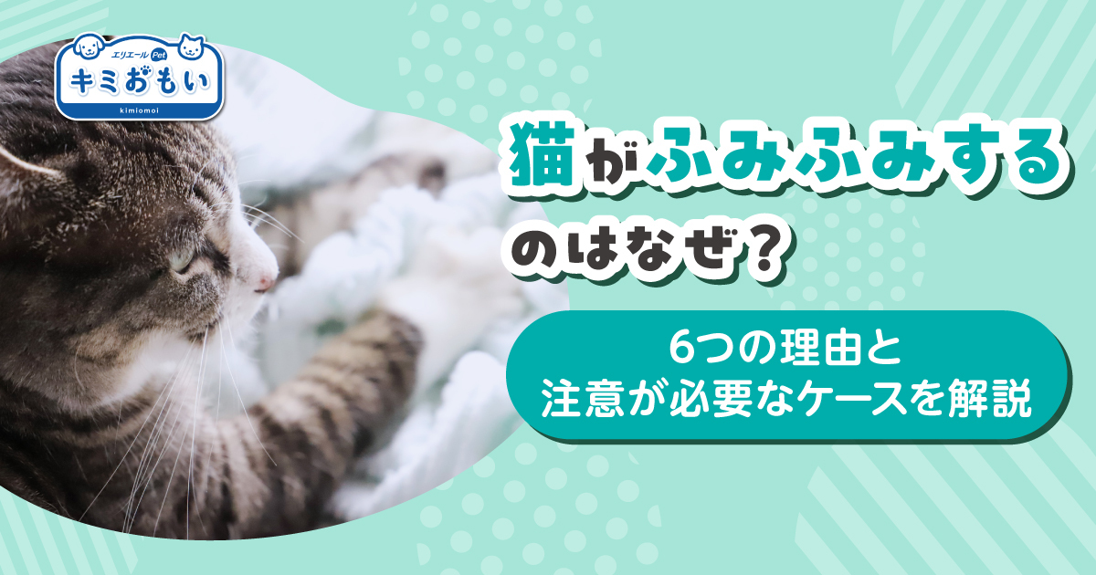 みさネコ様専用☆ ㈱カネヨ ねこ様用 | 焼津市魚仲水産