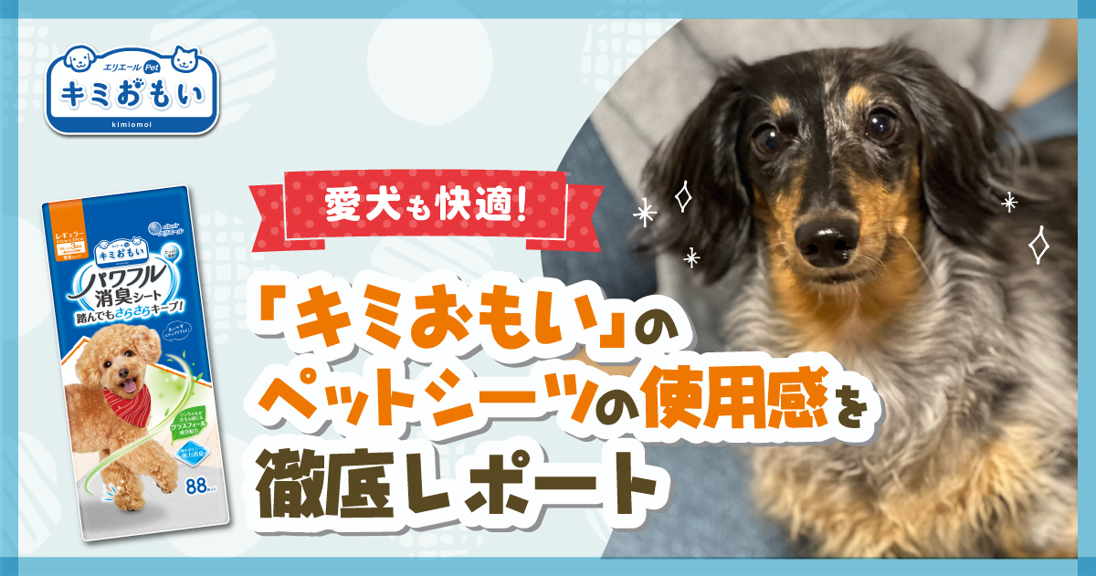 わん茶ちゃん キープ 愛犬も快適 キミおもい のペットシーツの使用感を