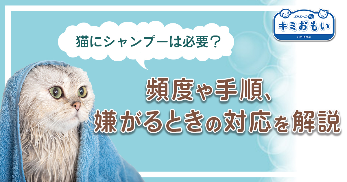 ネコ様 オーダーページ 【公式通販】