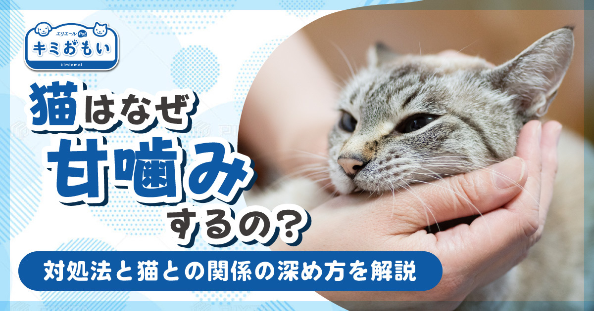 じゃれねこ『8月☆白鳥×ローズ②』 2026年8月31日価格改定予定】じゃれ