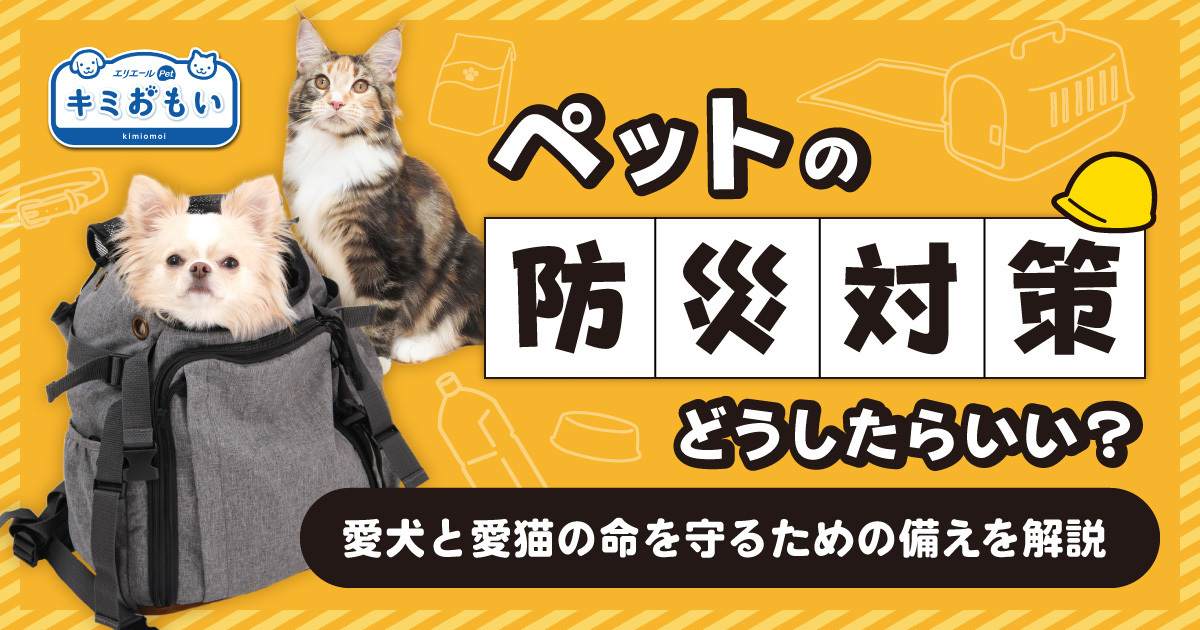 68a7c521a77d1.jpg?resize=700x2000