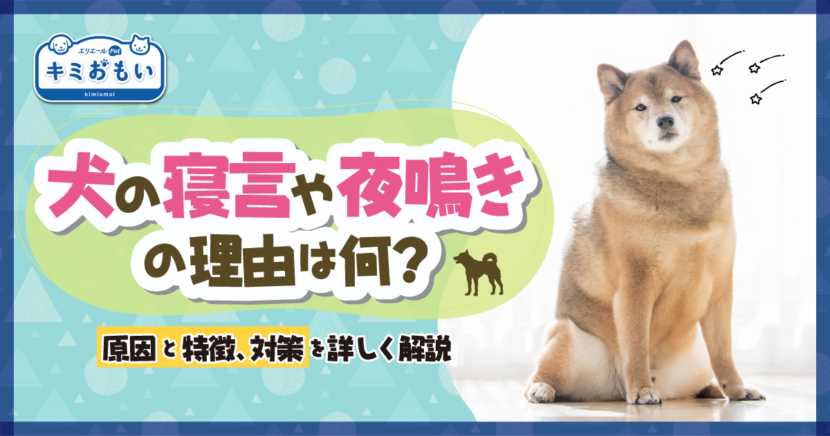 健心 かぐや犬