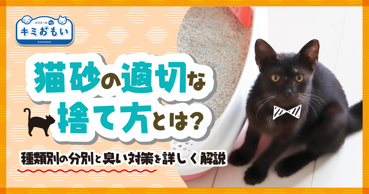 猫砂の適切な捨て方は？種類別の捨て方やマナー、臭い対策を解説｜キミ 
