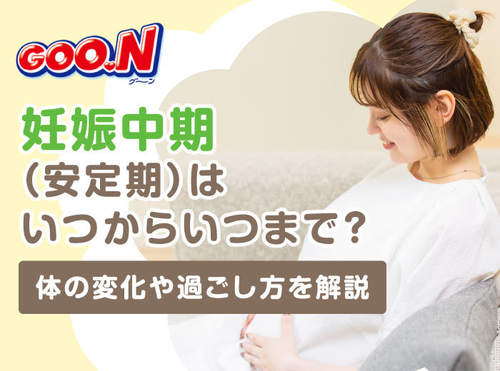 妊娠中期（安定期）はいつからいつまで？