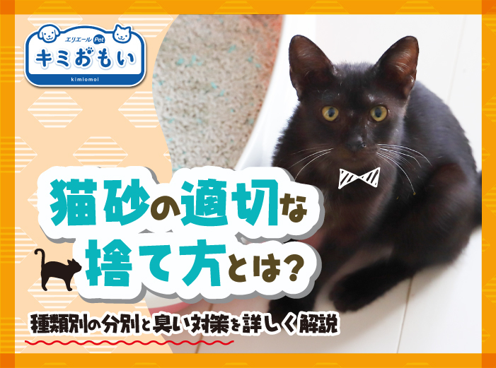 お役立ち情報一覧｜エリエール｜大王製紙