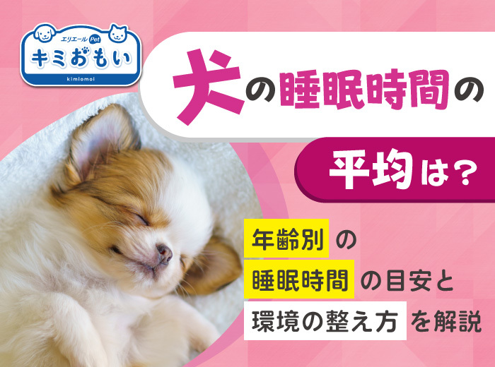 犬の睡眠時間の平均は？