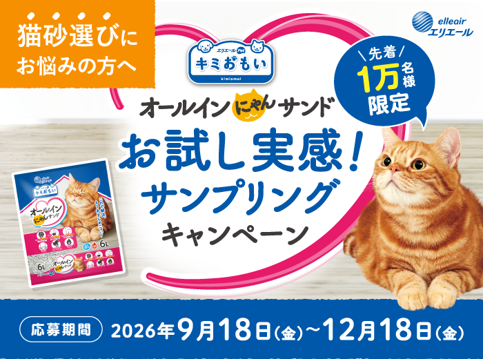 オールインにゃんサンドお試し実感！サンプリ...