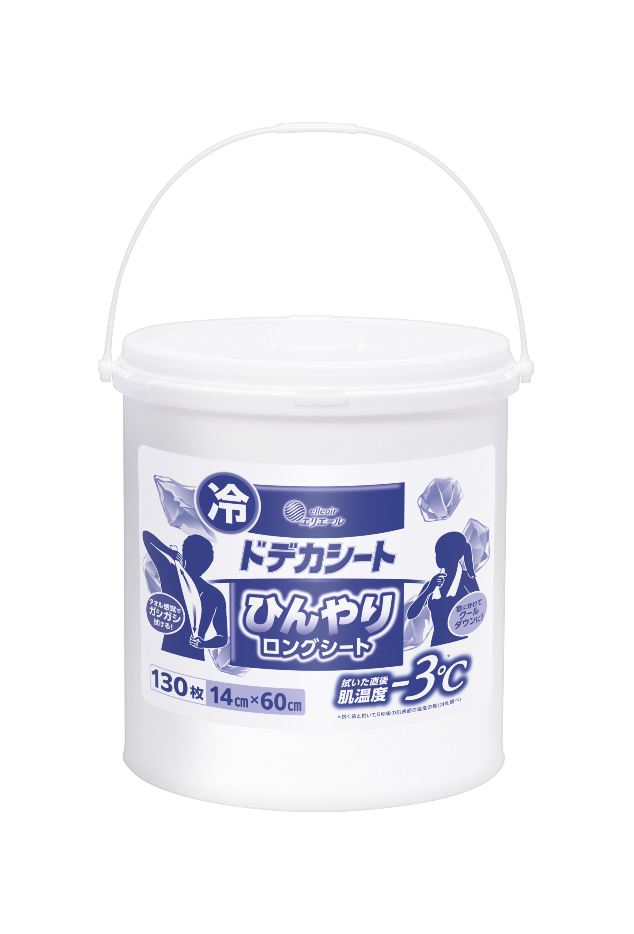 DILLYリトグラフ「ドーヴィルの海岸」。シートのみお買い得品 2Wayピクニックマット