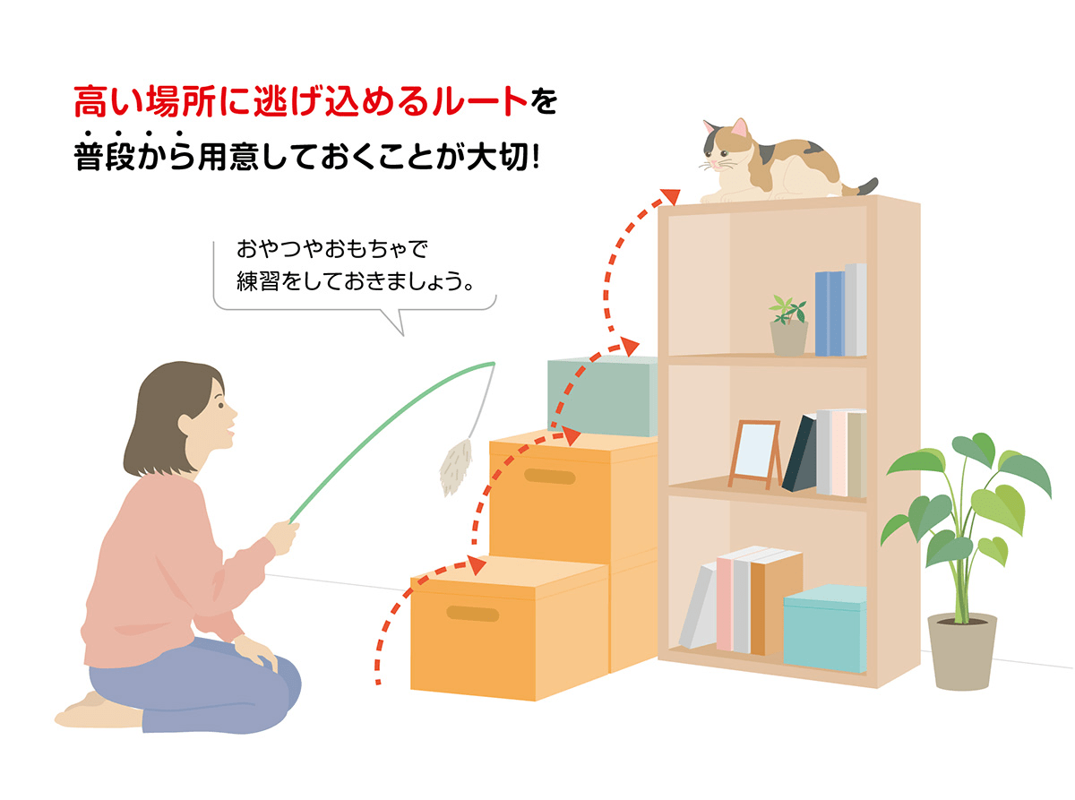 高い場所に逃げ込めるルートを普段から用意しておくことが大切！おやつやおもちゃで練習しておきましょう。