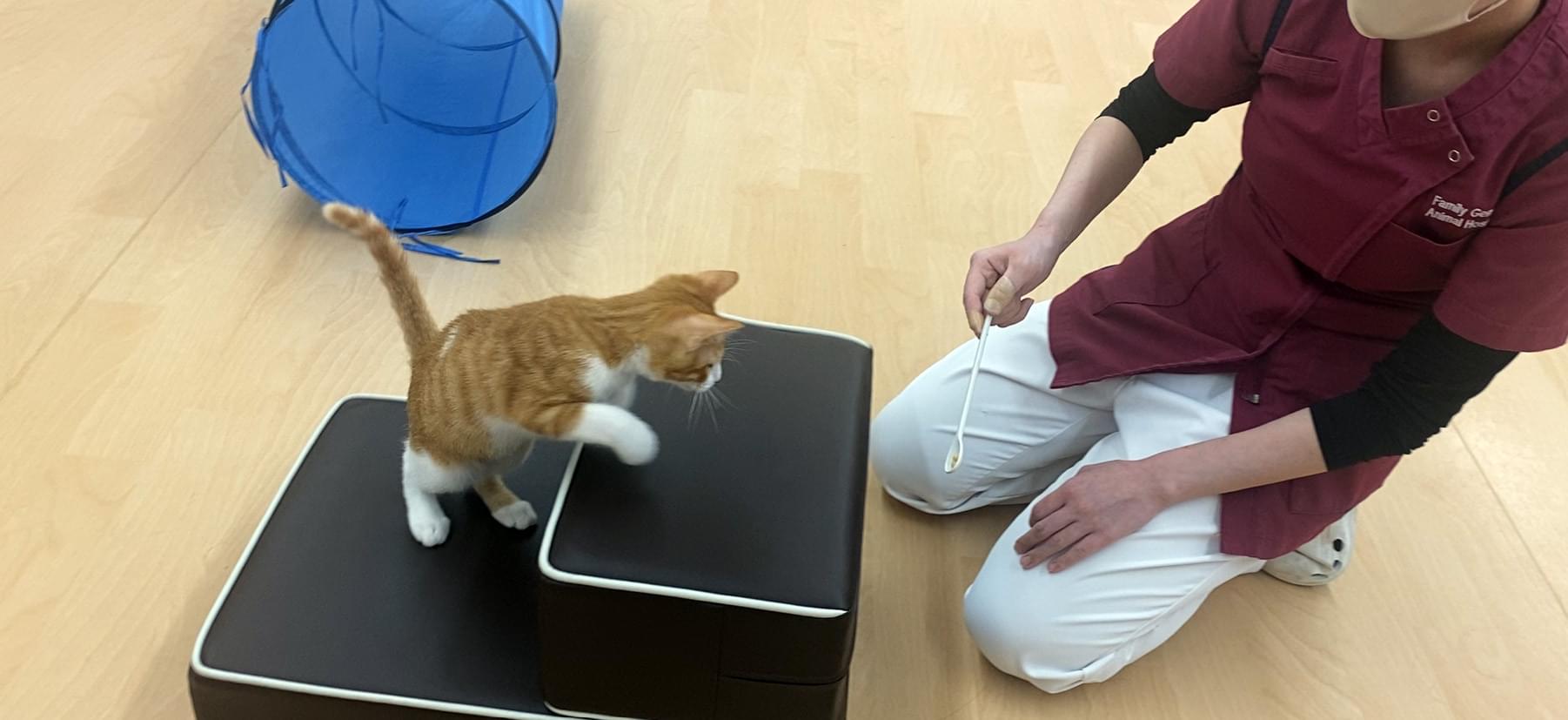 おやつで誘導する