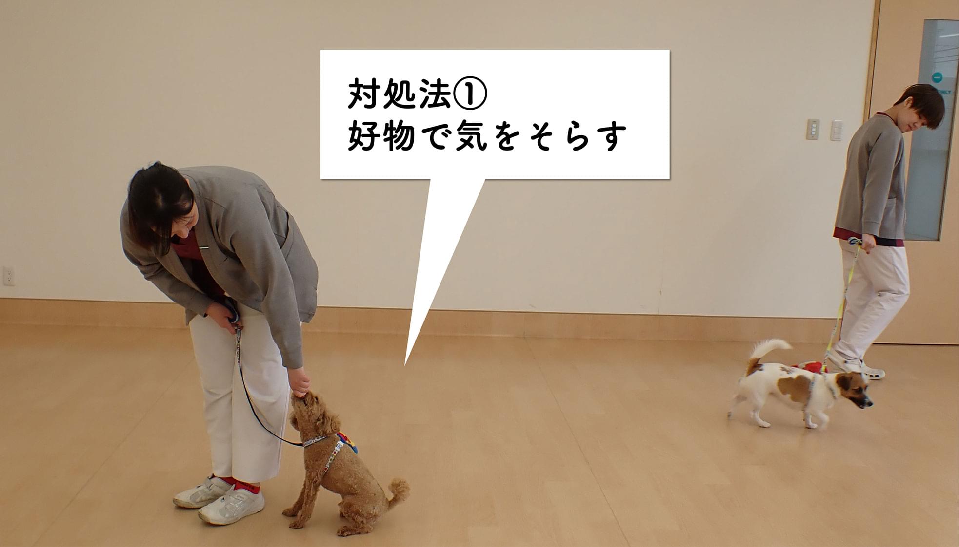 おすすめの対処法①：好物で気をそらす