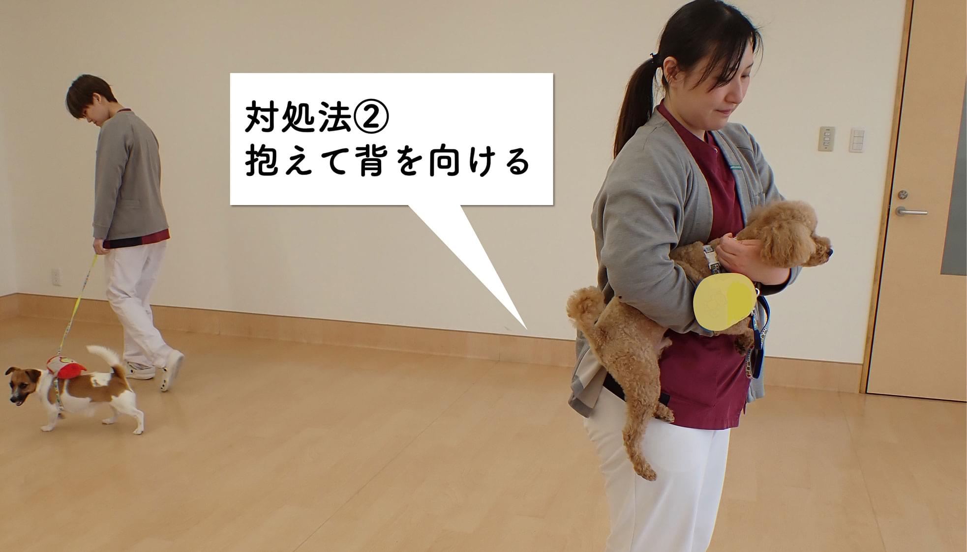 おすすめの対処法②：抱えて背を向ける