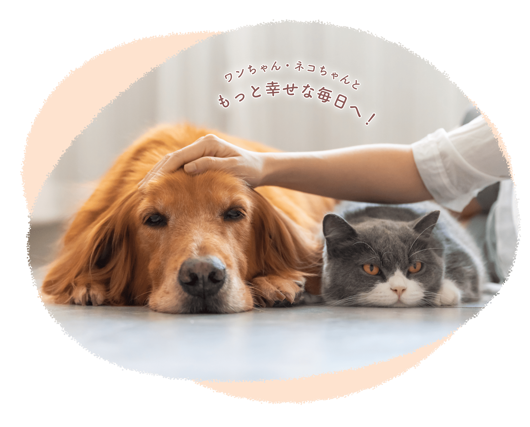 ワンちゃん・ネコちゃんともっと幸せな毎日へ！