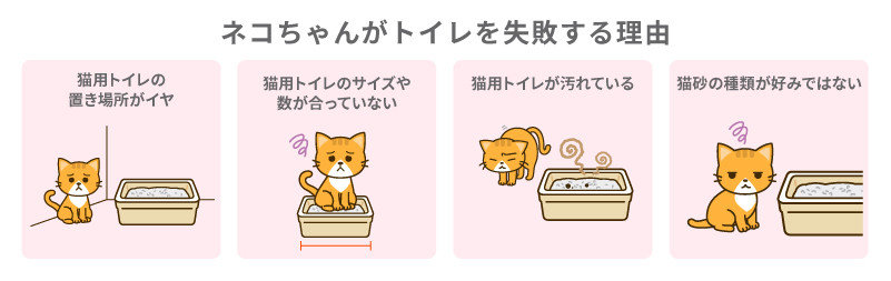 ネコちゃんがトイレを失敗する原因