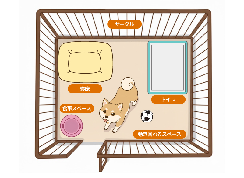 おすすめのワンちゃんのサークル内レイアウト