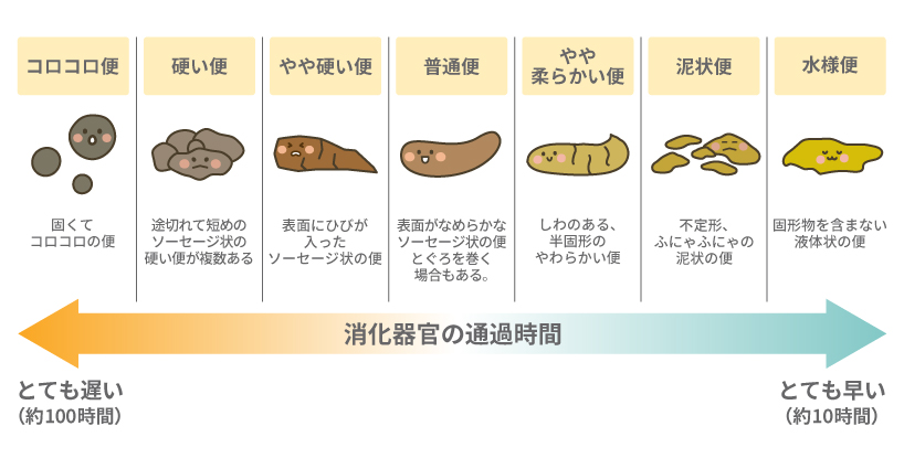 ネコちゃんのうんちの硬さの目安