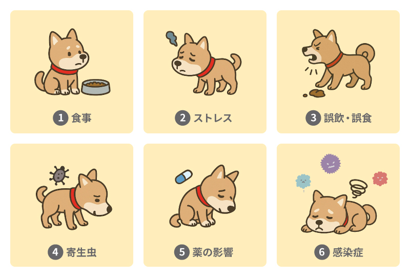 ワンちゃんの主な下痢の原因