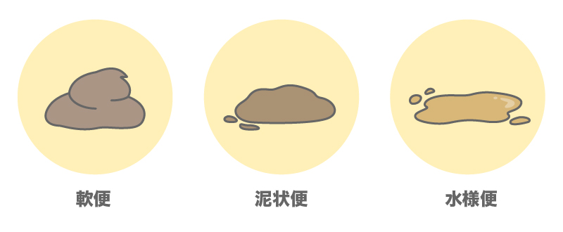 ワンちゃんのうんちの固さの違い