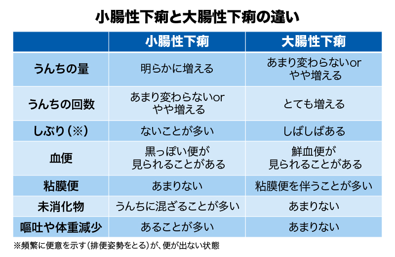 小腸性下痢と大腸性下痢の違い