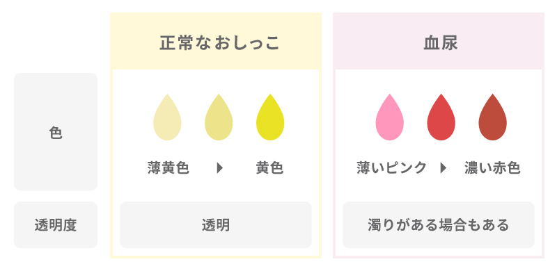 ネコちゃんの正常なおしっこと血尿の見分け方