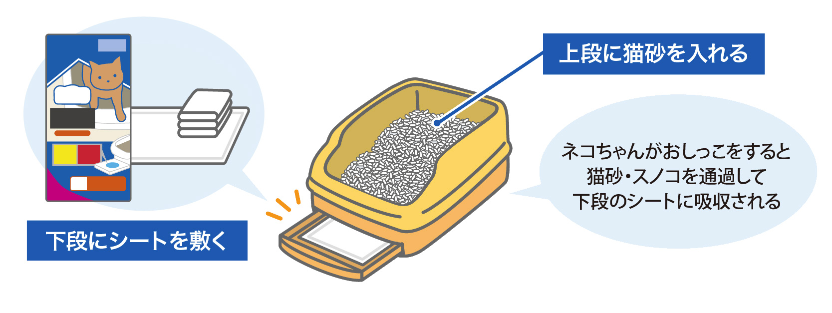 ネコちゃんのトイレのニオイはなぜ気になる？