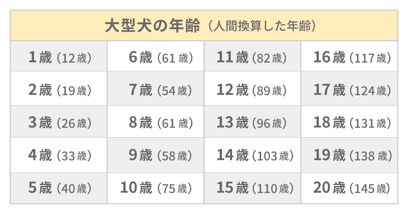 大型犬の年齢早見表