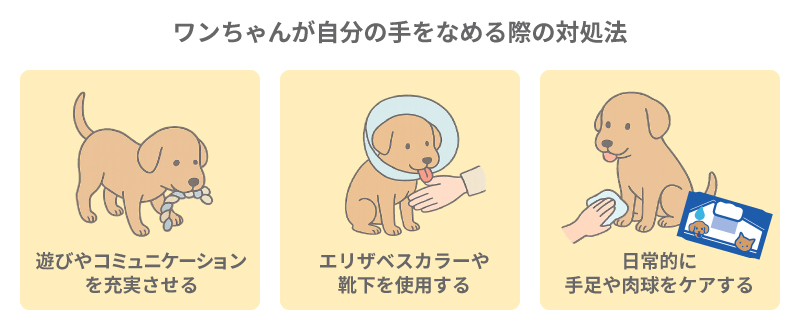 ワンちゃんが自分の手をなめる際の対処法