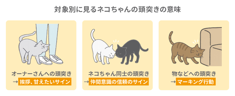 対象別に見るネコちゃんの頭突きの意味