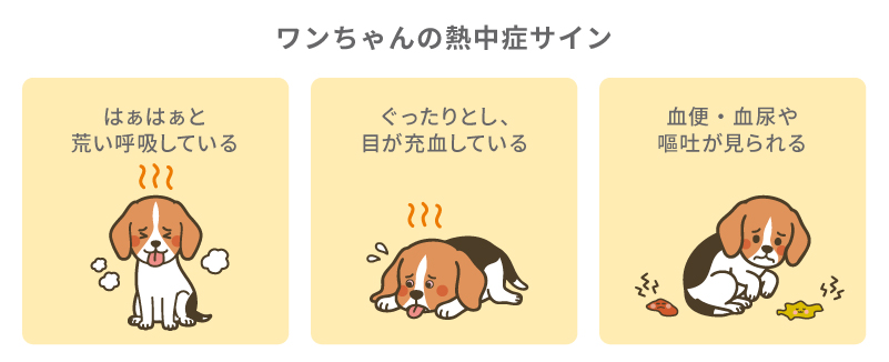ワンちゃんの熱中症サイン