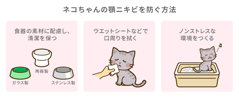 ネコちゃんの顎ニキビを防ぐ方法
