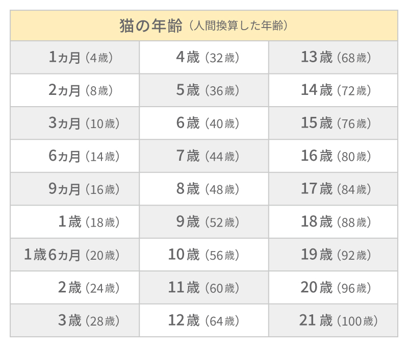 ネコちゃんの標準年齢換算表