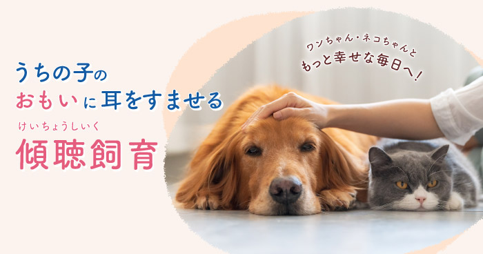【紹介】「キミおもい」が推奨する「傾聴飼育」とは？